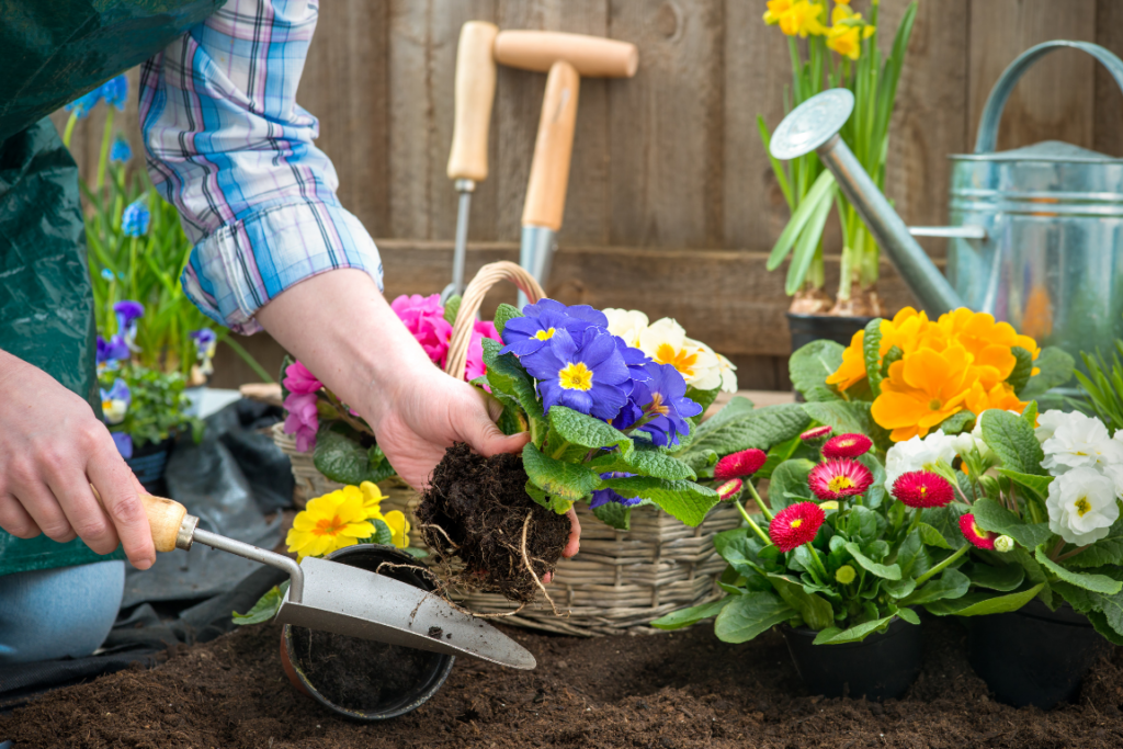 Patching Picture Spring 6 Ways to Refresh Your Home this Spring | HouseLens